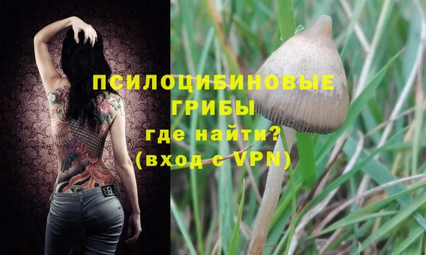 хмурый Покачи