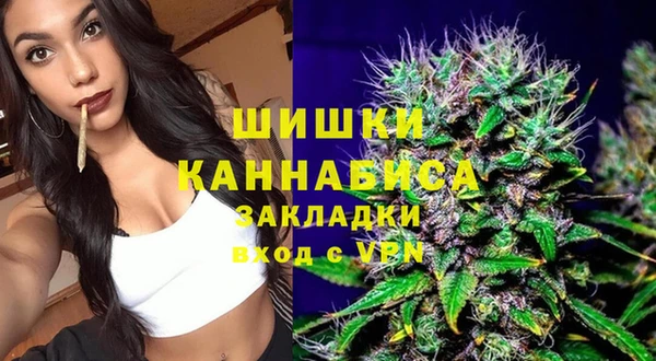 хмурый Покачи