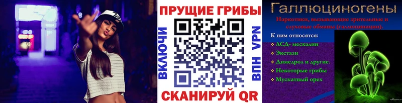 наркотики Ленинск Псилоцибиновые грибы GOLDEN TEACHER